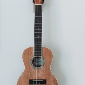 brown ukulele